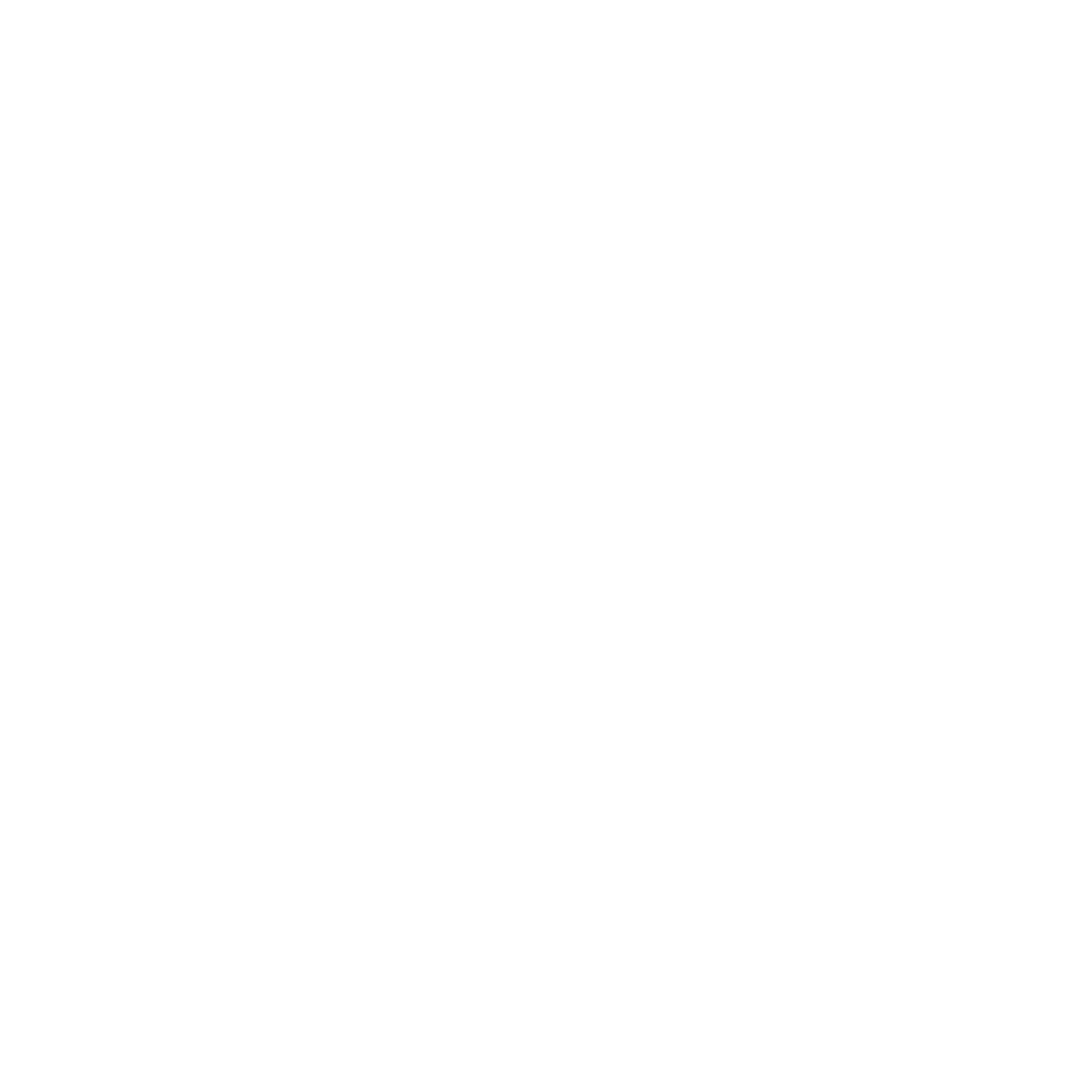 Storm logo